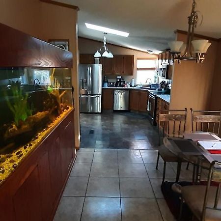 Private Pet Friendly Home Near Exotic Deer Farm Close To Pigeon Forge, Gatlinburg Tn 세비어빌 외부 사진