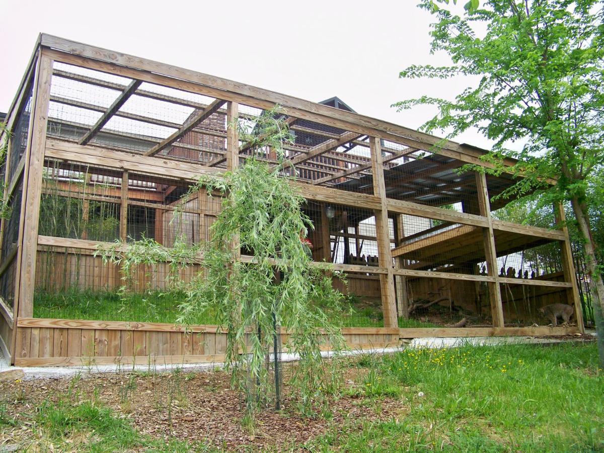 Private Pet Friendly Home Near Exotic Deer Farm Close To Pigeon Forge, Gatlinburg Tn 세비어빌 외부 사진