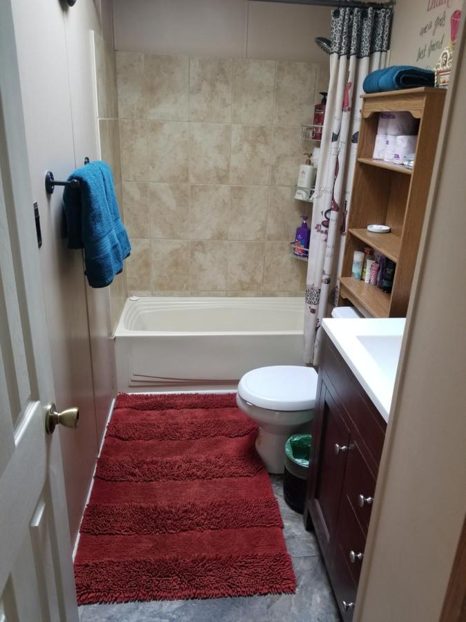 Private Pet Friendly Home Near Exotic Deer Farm Close To Pigeon Forge, Gatlinburg Tn 세비어빌 외부 사진